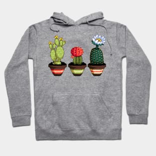 Pixel Cacti Hoodie